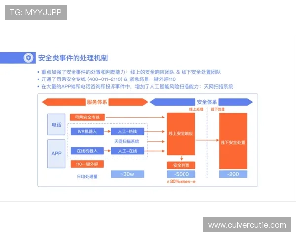凯时官方旗舰店物流配送流程详解确保商品快速安全送达客户手中