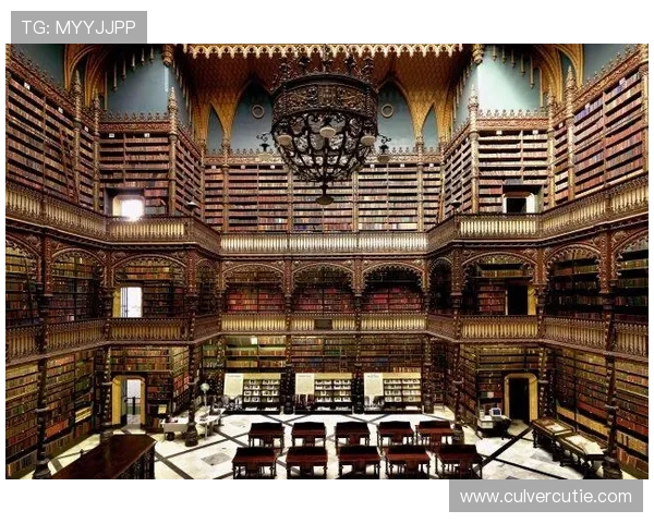 z6尊龙官方网站官网入口最新安全稳定的登录指南与使用攻略推荐