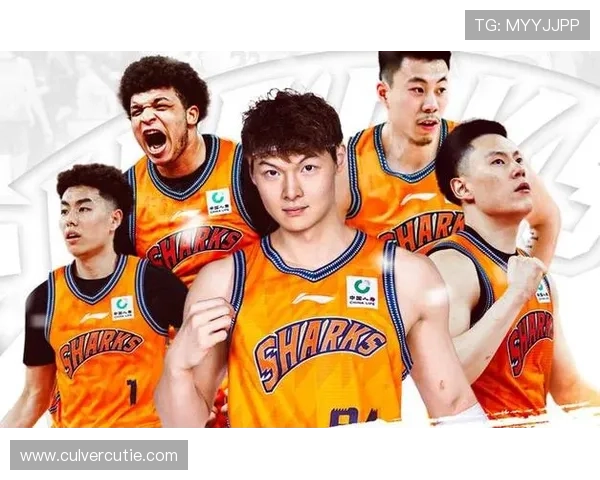 Z6尊龙娱乐官网最新优惠活动盘点，助你轻松赢取更多游戏奖励与福利